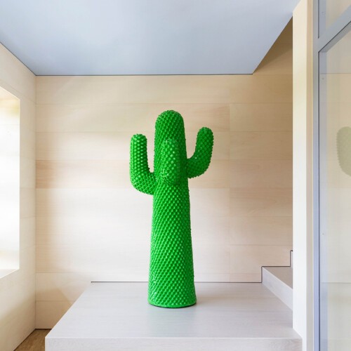 Cactus Askılık / Aksesuar