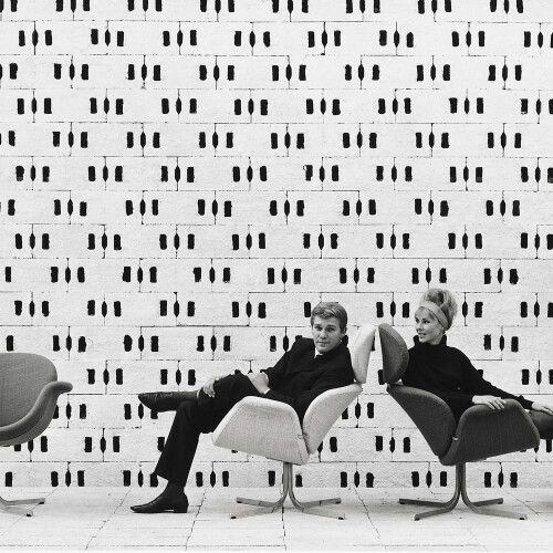 Tulip Midi Tek Koltuk